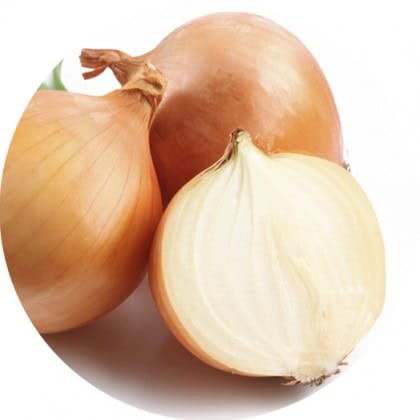 cebula